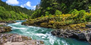 Reservas de la Biosfera: qué son, funciones y ejemplos