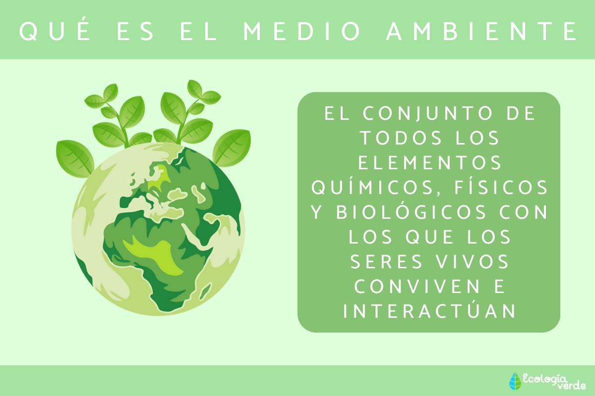 Qué es el medio ambiente