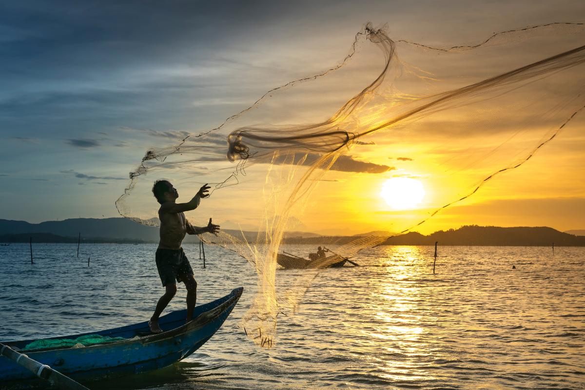 Pesca sostenible: qué es, beneficios y tipos
