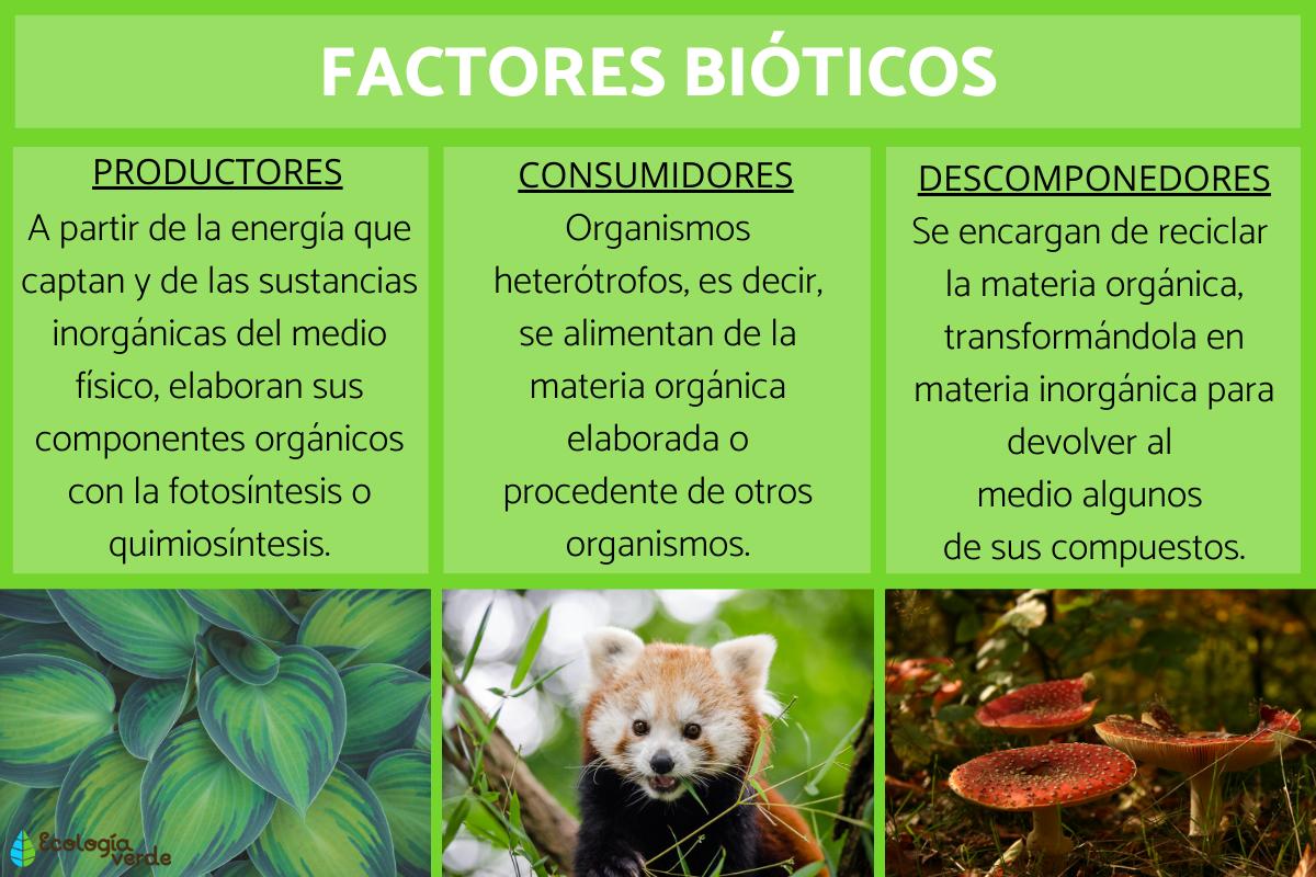 Factores bióticos: qué son, características, clasificación y ejemplos