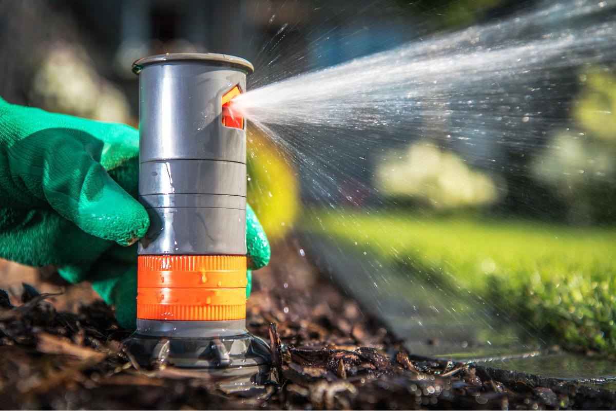 Estrategias para aumentar la eficiencia del cultivo y reducir el consumo de agua