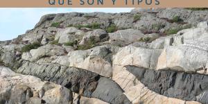 Rocas filonianas: qué son, características, tipos y ejemplos