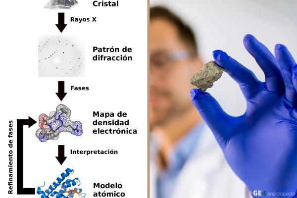 Cristalografía: qué es, historia, tipos y aplicaciones en la ciencia moderna - ¿Cuáles son los tipos de cristalografía?