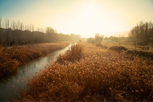 Ríos de Cataluña - Río Anoia