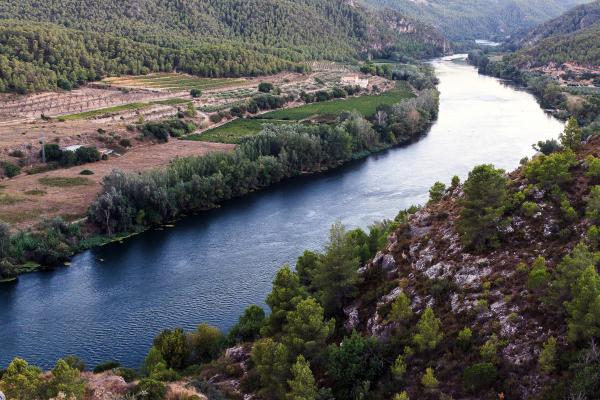 Ríos de Cataluña - Río Ebro
