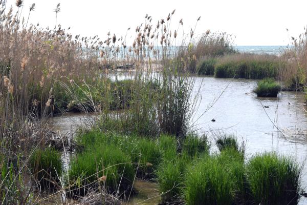 Ríos de Cataluña - Río Llobregat