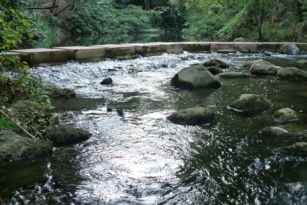 Ríos de Cataluña - Río Muga