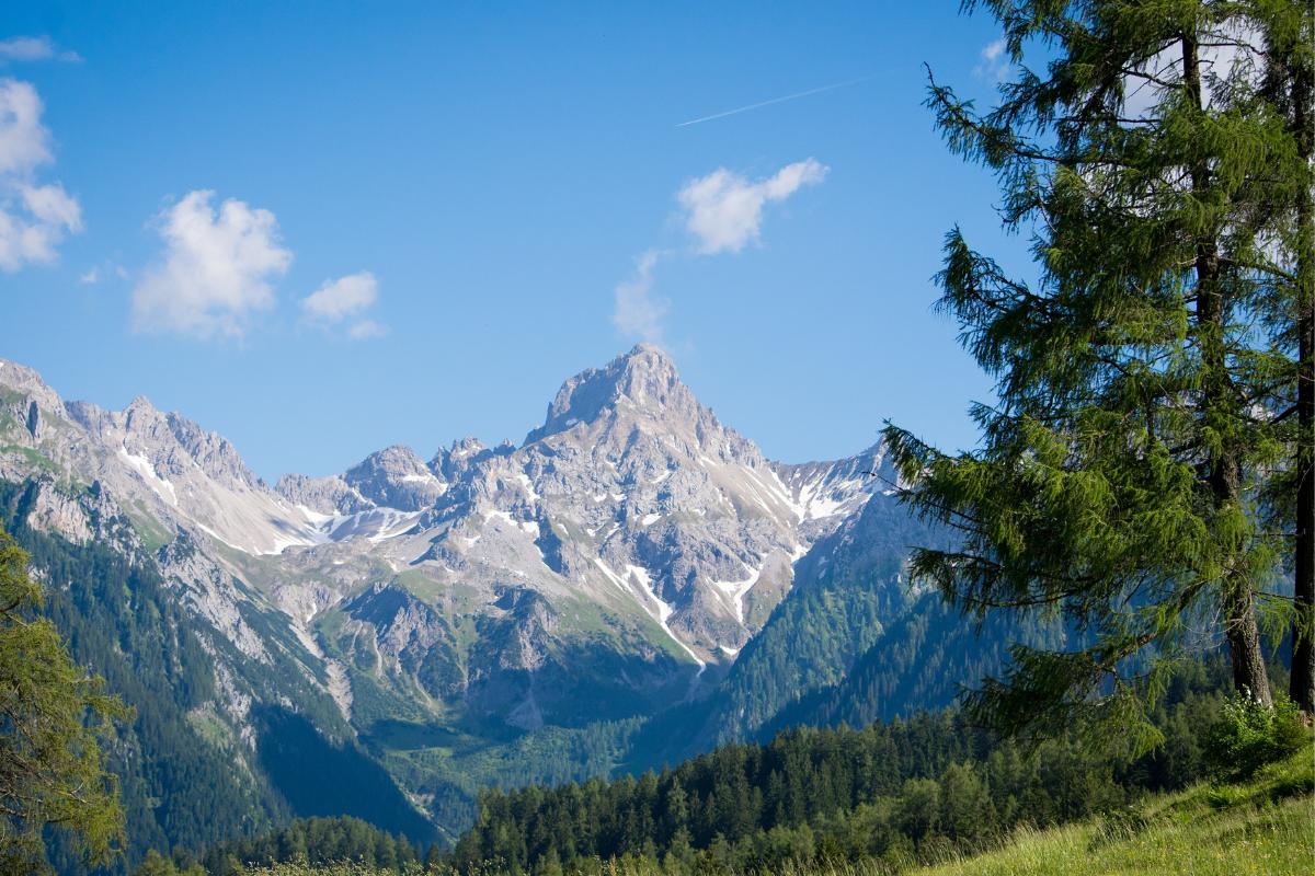 Clima de montaña: qué es, características, tipos, flora y fauna