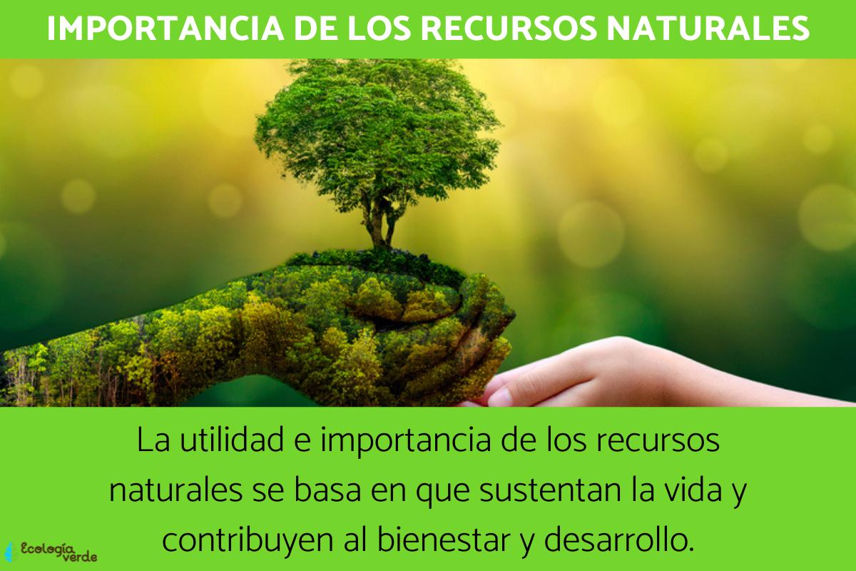 Cuál es la importancia de los recursos naturales