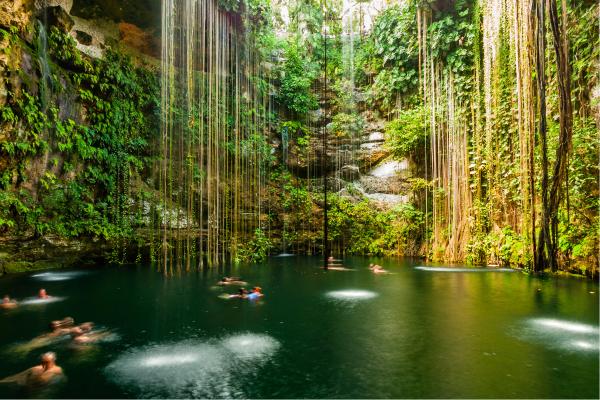 Cenotes: qué son, tipos y cómo se forman - Flora y fauna de los cenotes