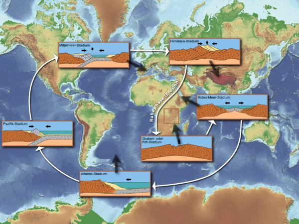 Ciclo de Wilson: qué es y etapas - Qué es el ciclo de Wilson