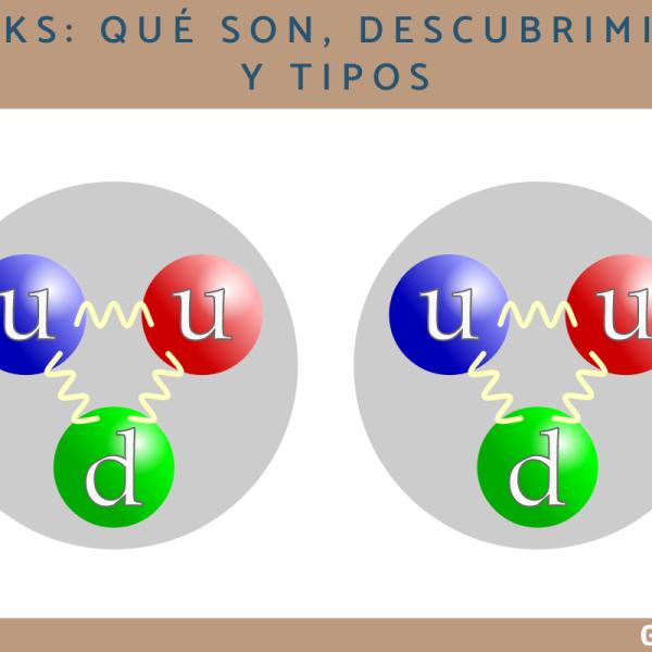 Modelo De Particula Quark
