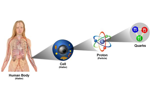 Quarks: qué son, descubrimiento y tipos - Qué son los quarks