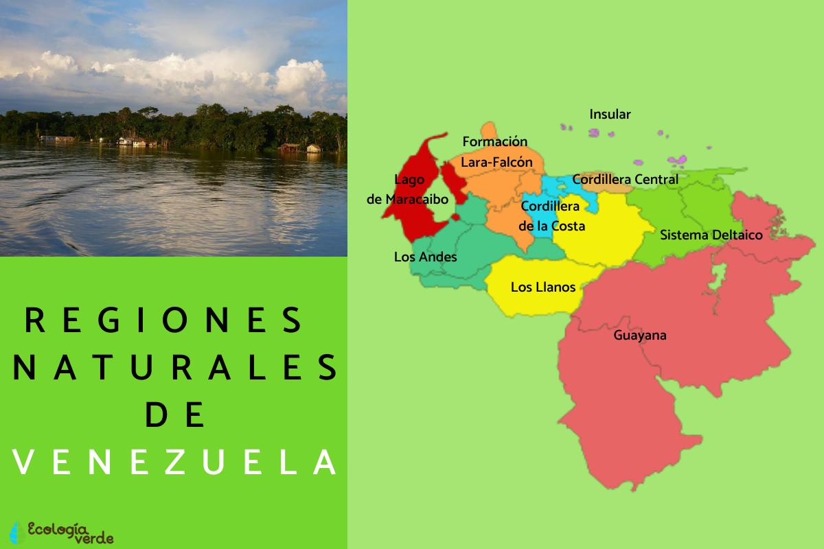 Regiones naturales de Venezuela