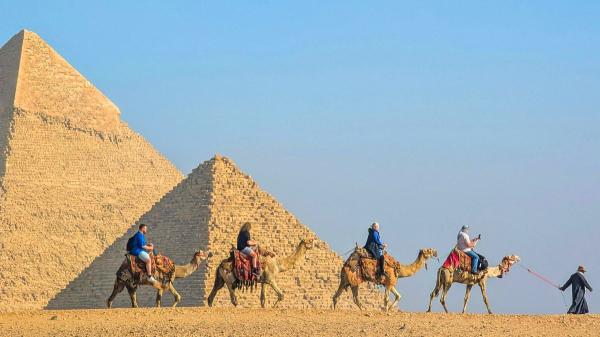 El sufrimiento de los camellos y los caballos en las pirámides de Giza impulsa un cambio que transformará el turismo en Egipto - ¿Se han prohibido los paseos en camello en Egipto?