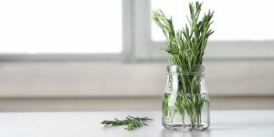 Poner un frasco con romero y agua en el dormitorio tiene un motivo: para qué sirve este sencillo truco casero
