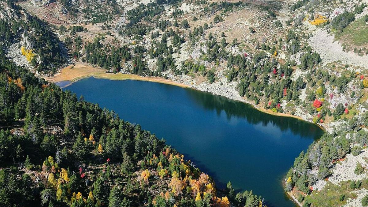 En 2025 eliminaron un pez invasor de dos lagos de los Pirineos: 10 meses después, los anfibios e invertebrados han regresado