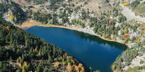 En 2025 eliminaron un pez invasor de dos lagos de los Pirineos: 10 meses después, los anfibios e invertebrados han regresado