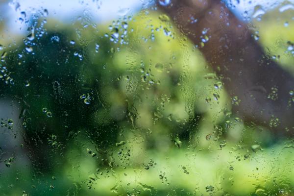 Propiedades del agua - Fuerza de cohesión