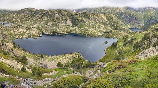 En 2025 eliminaron un pez invasor de dos lagos de los Pirineos: 10 meses después, los anfibios e invertebrados han regresado - Los anfibios regresaron sin necesidad de reintroducirlos