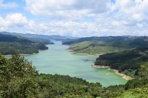 Cuerpos de agua: qué son, tipos, ejemplos y distribución - Ejemplos de cuerpos de agua