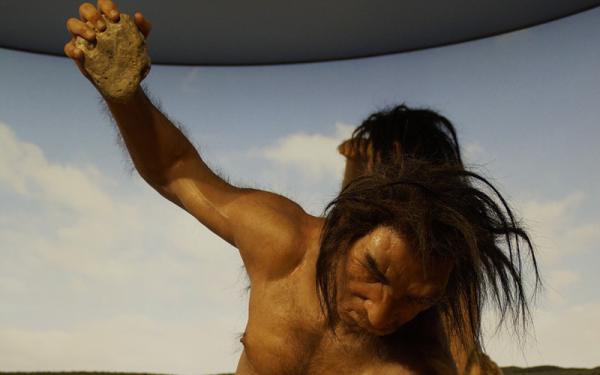 Ancestros del Ser Humano