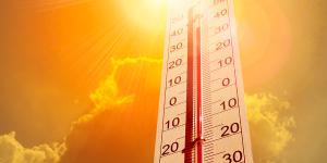 Olas de calor: qué son, causas y consecuencias