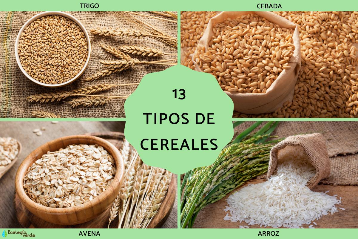 Tipos de cereales