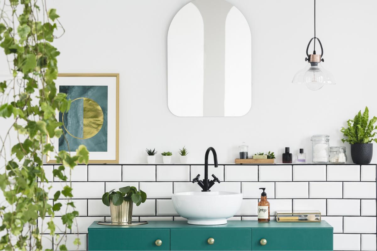 Plantas para el baño