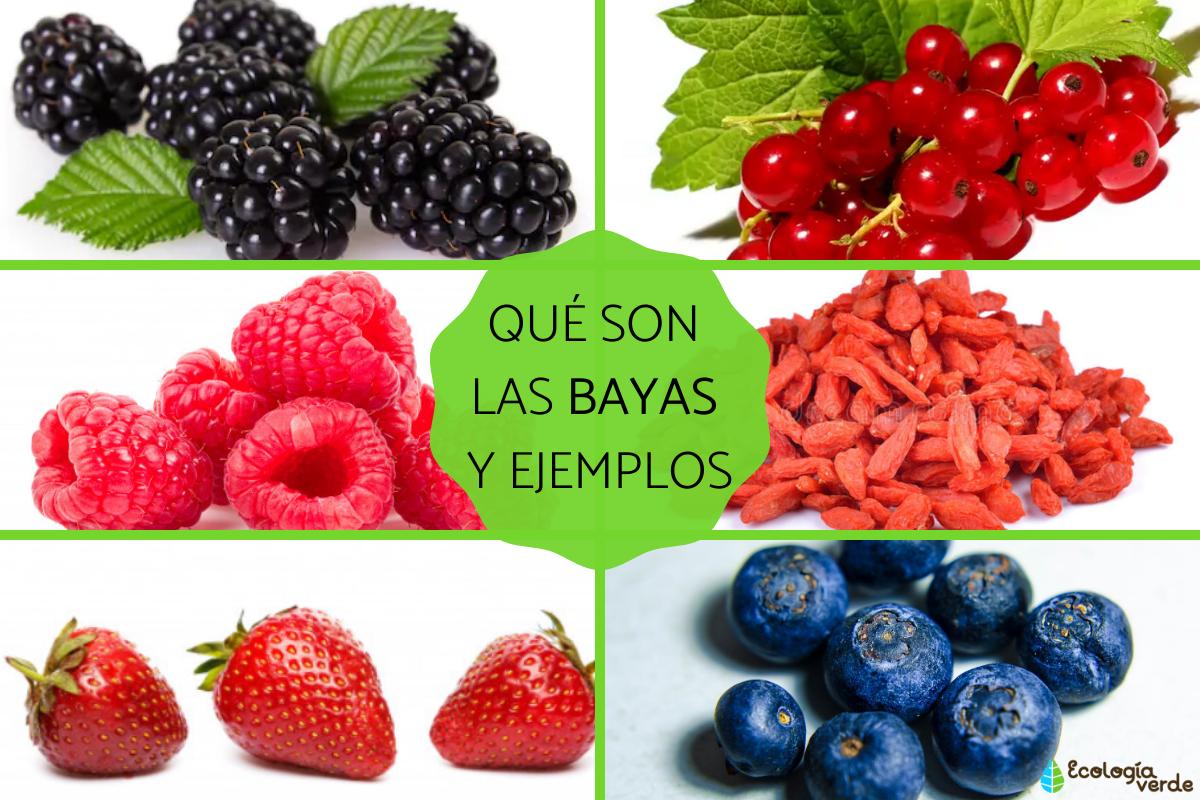 Qué son las bayas, características, tipos y ejemplos