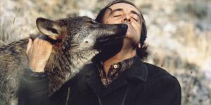 Félix Rodríguez de la Fuente, el naturalista que defendió al lobo: “Se convirtió en un animal proscrito, fuera de la ley”