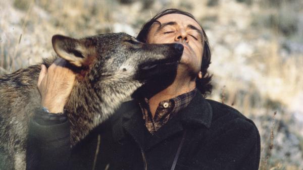 Félix Rodríguez de la Fuente, el naturalista que defendió al lobo: “Se convirtió en un animal proscrito, fuera de la ley”