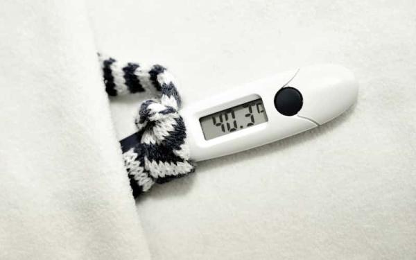 Termómetros Digitales