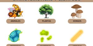 Factores bióticos: qué son, características y ejemplos