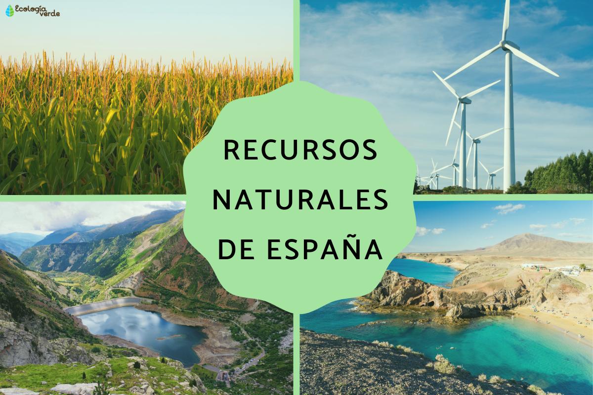 Balloon: las claves para aumentar tus ganancias