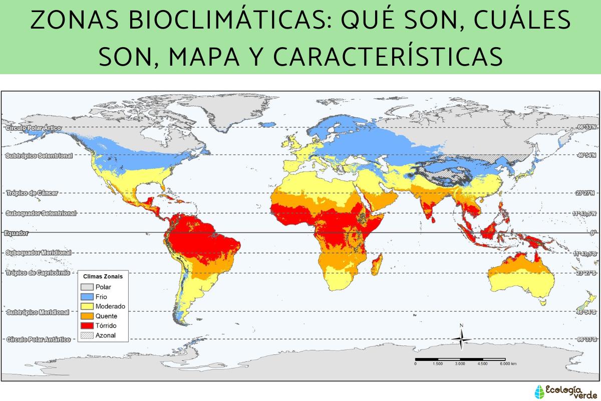 Zonas bioclimáticas: qué son, cuáles son, mapa y características