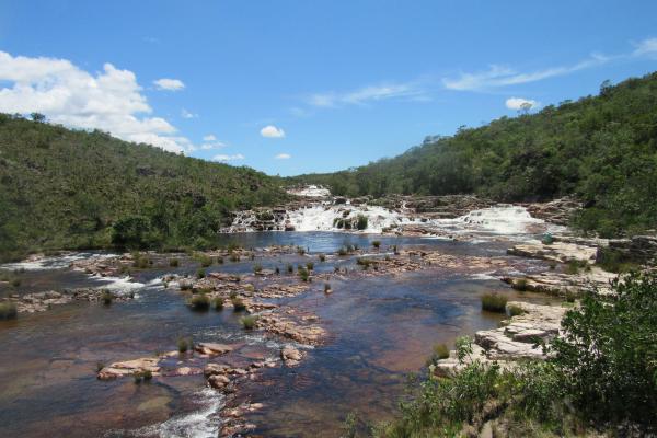 Partes de un río: cuáles son, definición y características - Curso medio de un río