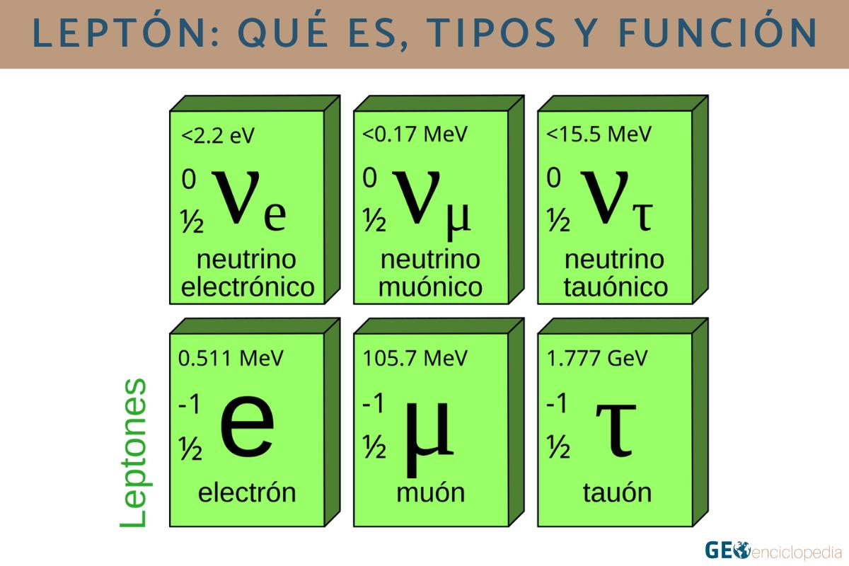 Leptón: qué es, tipos y función
