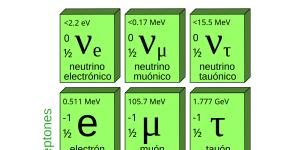 Leptón: qué es, tipos y función