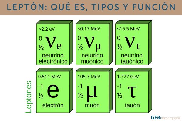 Leptón: qué es, tipos y función