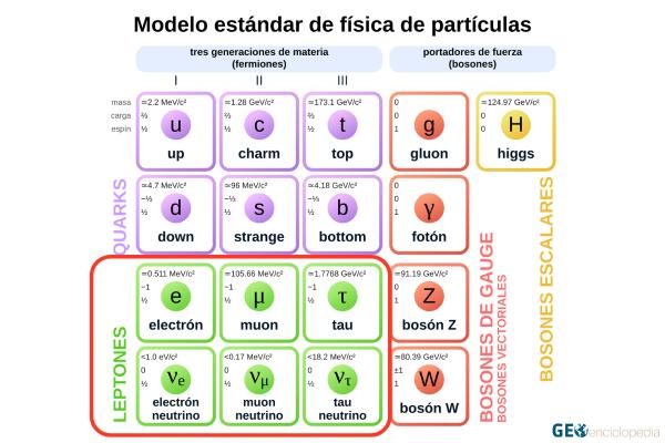 Leptón: qué es, tipos y función - Tipos de leptones