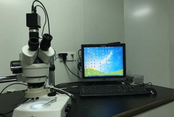 Tipos de microscopios - Microscopio electrónico