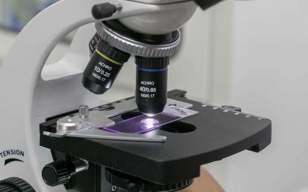 Tipos de microscopios - Microscopio óptico