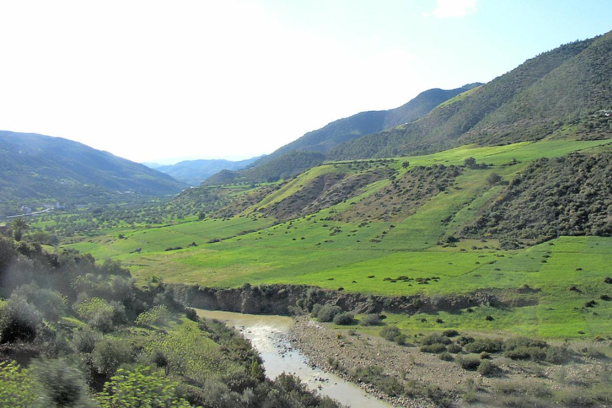 Terraza fluvial: qué es, cómo se forma y ejemplos