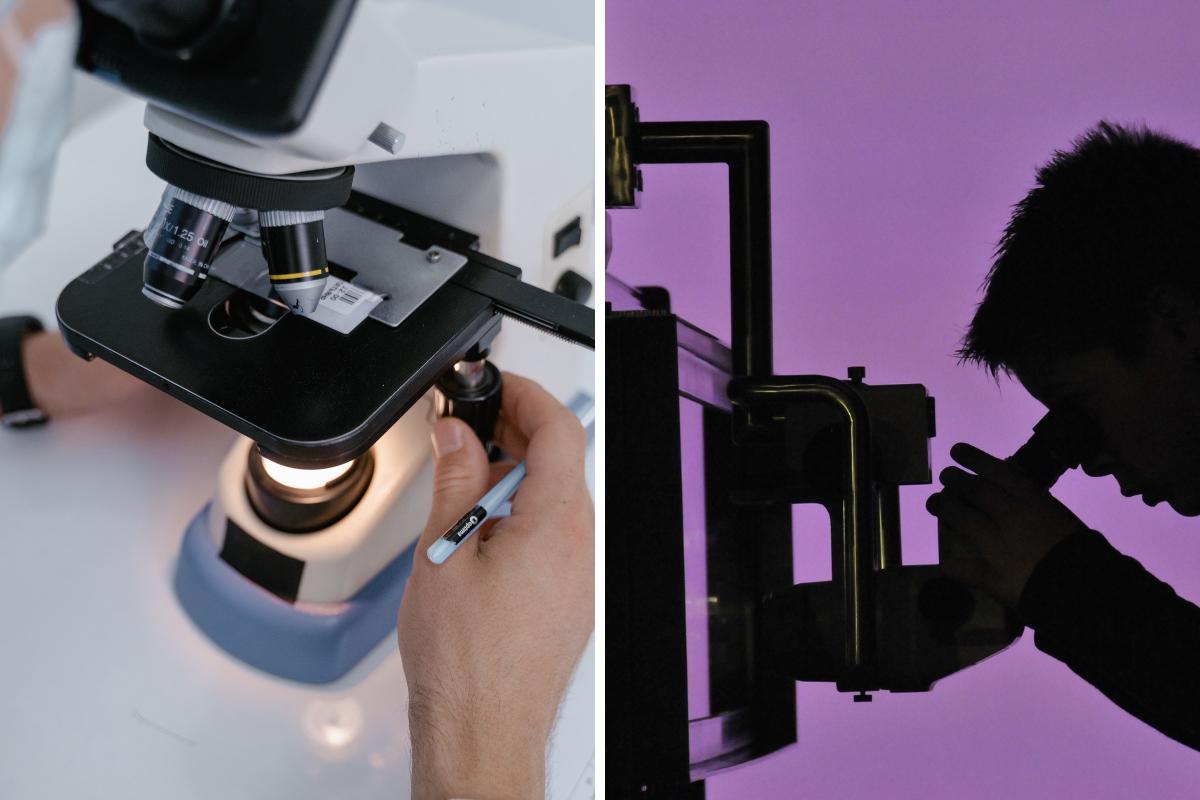 Tipos de microscopios