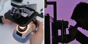 Tipos de microscopios