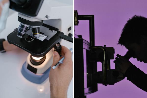 Tipos de microscopios