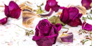 ¿Cómo secar flores con sal? El truco casero para que mantengan su color y forma (y no se aplasten)