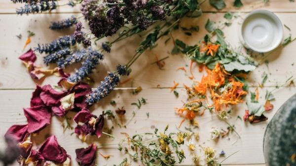 ¿Cómo secar flores con sal? El truco casero para que mantengan su color y forma (y no se aplasten) - De rosas a hortensias: las flores que mejor mantienen su forma y color con sal