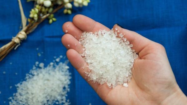 ¿Cómo secar flores con sal? El truco casero para que mantengan su color y forma (y no se aplasten) - La razón por la que la sal es infalible para secar plantas